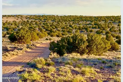 Tbd Co Rd N7120 40 Acres -- #-, Saint Johns, AZ 85936 - Photo 9