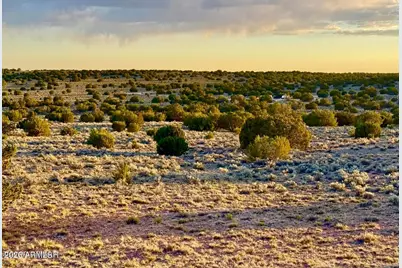 Tbd Co Rd N7120 40 Acres -- #-, Saint Johns, AZ 85936 - Photo 5