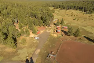 22770 Fox Ranch Rd, Munds Park, AZ 86017 - Photo 33
