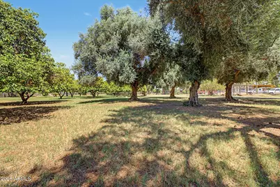 43455 N Jackrabbit Road, San Tan Valley, AZ 85140 - Photo 17