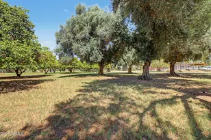 43455 N Jackrabbit Rd, San Tan Valley, AZ 85140 - Photo 17