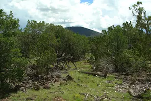 000 W Calle Adan --, Seligman, AZ 86337 - Photo 1