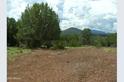 000 W Calle Adan -- #4992, Seligman, AZ 86337 - Photo 3