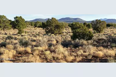 000 W Calle Adan -- #4992, Seligman, AZ 86337 - Photo 13