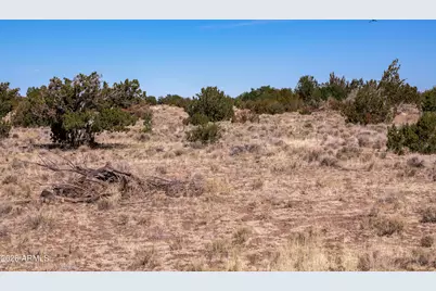 000 W Calle Adan -- #4992, Seligman, AZ 86337 - Photo 11