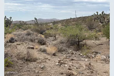 000 N Mohave Drive #48, Dolan Springs, AZ 86441 - Photo 7