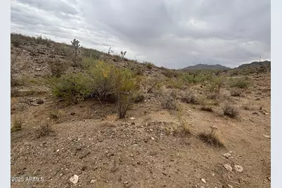 000 N Mohave Drive #48, Dolan Springs, AZ 86441 - Photo 3