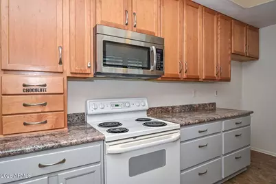10314 W Spanish Moss Lane, Sun City, AZ 85373 - Photo 29