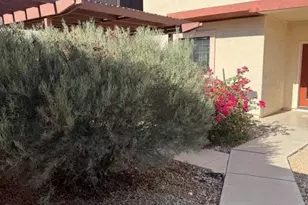 3578 S Cupertino Dr, Gilbert, AZ 85297 - Photo 53