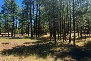2124 Antelope Wy, Happy Jack, AZ 86024 - Photo 1