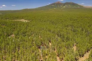 4875 Hidden Hollow Rd, Flagstaff, AZ 86001 - Photo 61