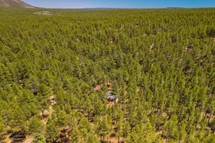 4875 Hidden Hollow Rd, Flagstaff, AZ 86001 - Photo 55