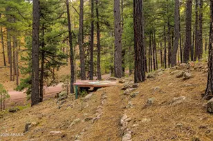 4875 Hidden Hollow Rd, Flagstaff, AZ 86001 - Photo 51