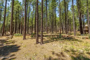 4875 Hidden Hollow Rd, Flagstaff, AZ 86001 - Photo 43