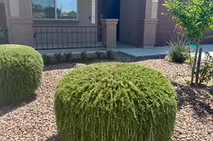 901 W Witt Ave, San Tan Valley, AZ 85140 - Photo 15