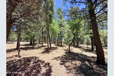 4215 Apache Drive #428, Happy Jack, AZ 86024 - Photo 5