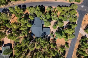 4000 W Ninebark Ln, Show Low, AZ 85901 - Photo 49