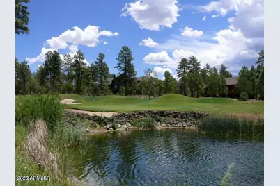 4000 W Ninebark Lane, Show Low, AZ 85901 - Photo 57