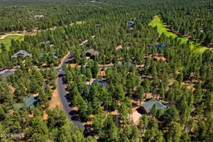 4000 W Ninebark Ln, Show Low, AZ 85901 - Photo 47