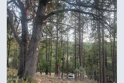 282 S Cienega Road, Payson, AZ 85541 - Photo 5