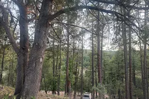 282 S Cienega Rd, Payson, AZ 85541 - Photo 5