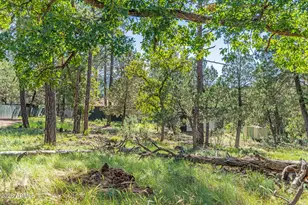 282 S Cienega Rd, Payson, AZ 85541 - Photo 21