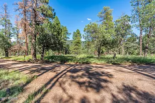 282 S Cienega Rd, Payson, AZ 85541 - Photo 23