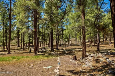 7 N County Road N2132 --, Alpine, AZ 85920 - Photo 35