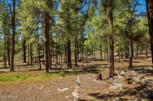 7 N County Road N2132 --, Alpine, AZ 85920 - Photo 35