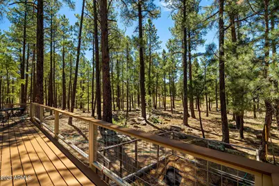 7 N County Road N2132 --, Alpine, AZ 85920 - Photo 11