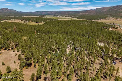 7 N County Road N2132 --, Alpine, AZ 85920 - Photo 43