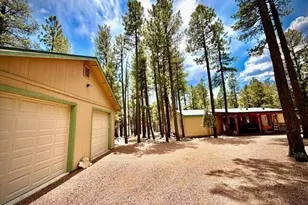 7 N County Road N2132 --, Alpine, AZ 85920 - Photo 25