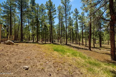 7 N County Road N2132 --, Alpine, AZ 85920 - Photo 13
