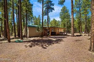 7 N County Road N2132 --, Alpine, AZ 85920 - Photo 5