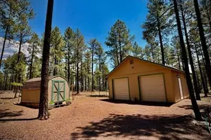 7 N County Road N2132 --, Alpine, AZ 85920 - Photo 27