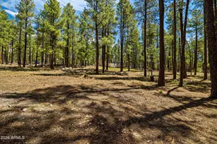 7 N County Road N2132 --, Alpine, AZ 85920 - Photo 37