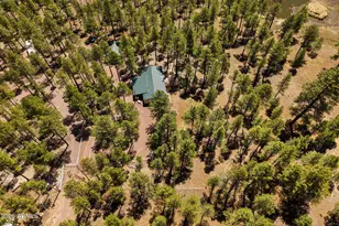 7 N County Road N2132 --, Alpine, AZ 85920 - Photo 19