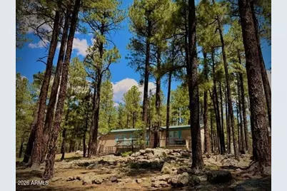 7 N County Road N2132 --, Alpine, AZ 85920 - Photo 29
