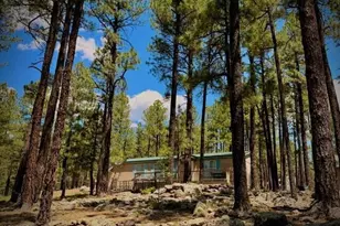 7 N County Road N2132 --, Alpine, AZ 85920 - Photo 29
