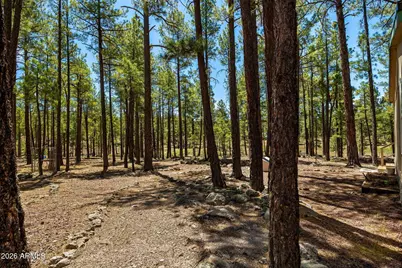 7 N County Road N2132 --, Alpine, AZ 85920 - Photo 9