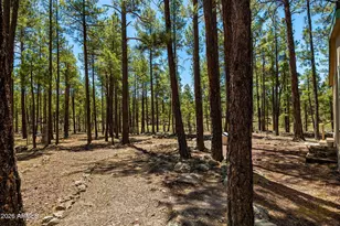7 N County Road N2132 --, Alpine, AZ 85920 - Photo 9