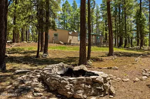 7 N County Road N2132 --, Alpine, AZ 85920 - Photo 15