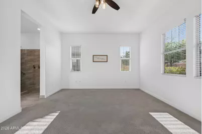 20652 W Clearstream Drive, Buckeye, AZ 85396 - Photo 29