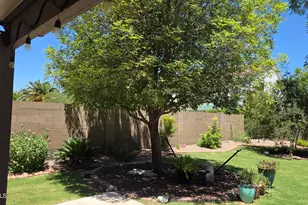 3020 E Friess Dr, Phoenix, AZ 85032 - Photo 41