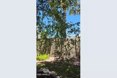 3020 E Friess Drive, Phoenix, AZ 85032 - Photo 41