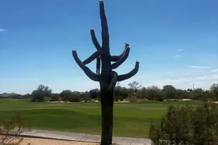 30638 N 45th Pl, Cave Creek, AZ 85331 - Photo 39