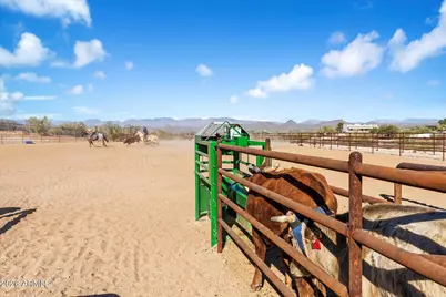 501 S Saguaro Drive, Wickenburg, AZ 85390 - Photo 5