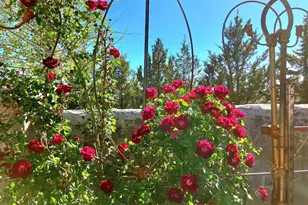 624 W Baker Ranch Rd, Young, AZ 85554 - Photo 79