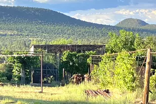 624 W Baker Ranch Rd, Young, AZ 85554 - Photo 67