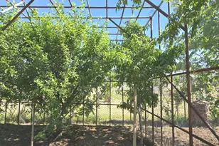 624 W Baker Ranch Rd, Young, AZ 85554 - Photo 89